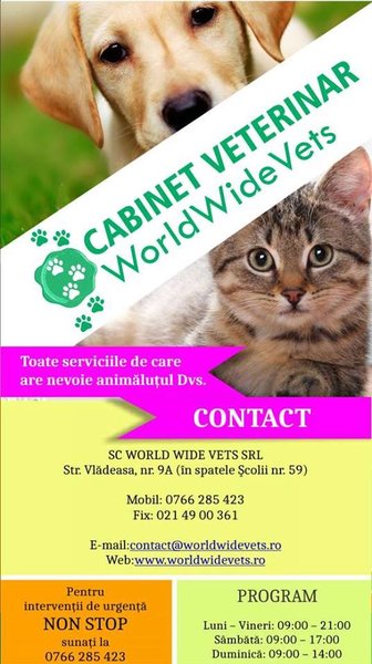 World Wide Vets - Cabinet Veterinar