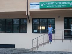 World Wide Vets - Cabinet Veterinar